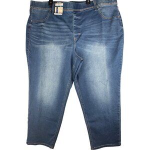 Terra & Sky Womens Plus Size 4X 28W-30W  pull on Denim Jeans High Rise Straight